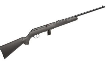 What is the Cost of a Rimfire Rifle?