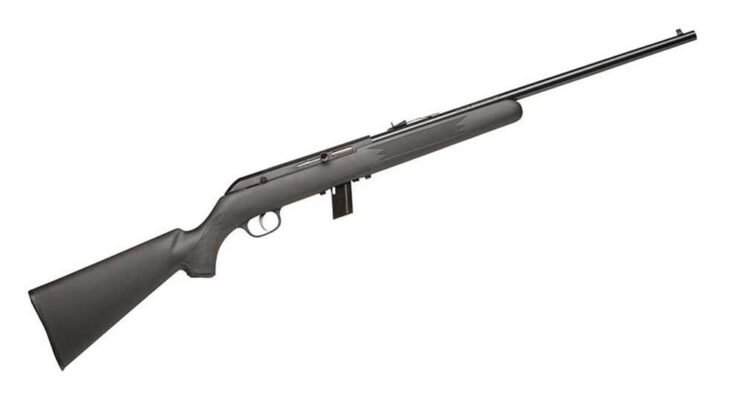 What is the Cost of a Rimfire Rifle?