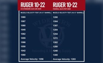 What is the Effective Range of a Rimfire Rifle?