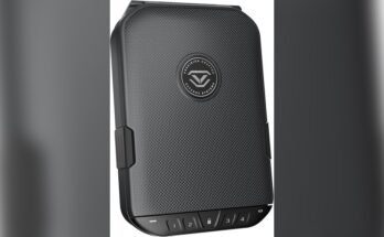 What Size Pistol Safe Do I Need