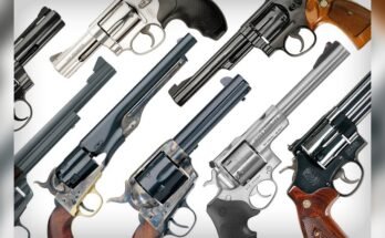 What Types of Revolvers are There?