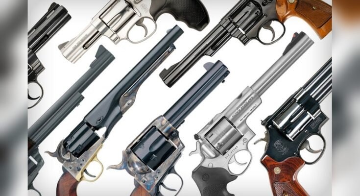 What Types of Revolvers are There?