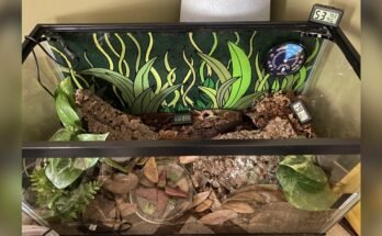 Where to Place a Hygrometer