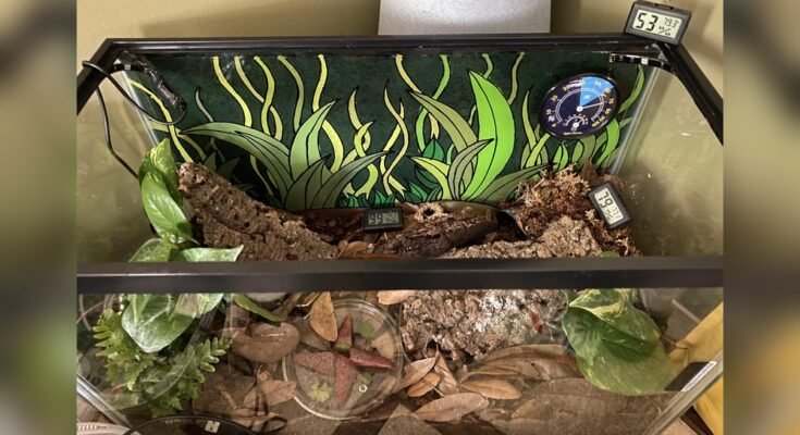 Where to Place a Hygrometer