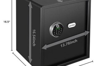 Best Biometric Safe For General Use