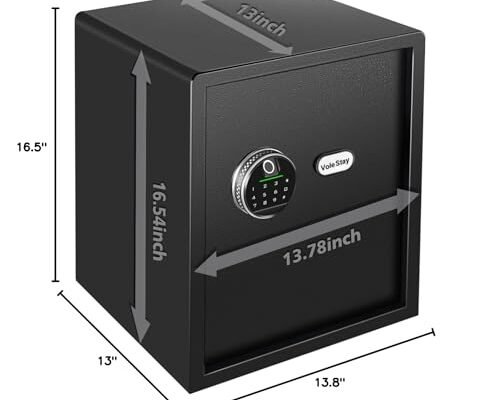 Best Biometric Safe For General Use