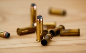 How To Prevent Corrosion On Stored Ammo